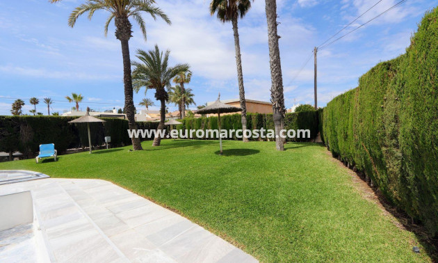 Sale - Apartment / flat - Torrevieja - Playa Flamenca