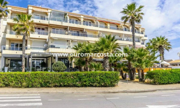 Sale - Apartment / flat - Torrevieja - Playa Flamenca