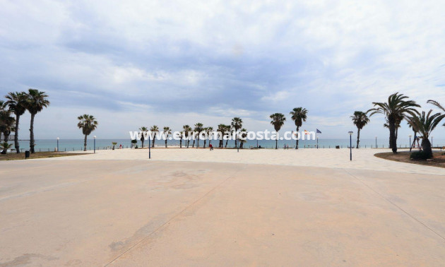 Sale - Apartment / flat - Torrevieja - Playa Flamenca