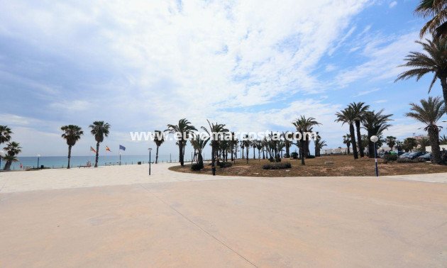 Sale - Apartment / flat - Torrevieja - Playa Flamenca