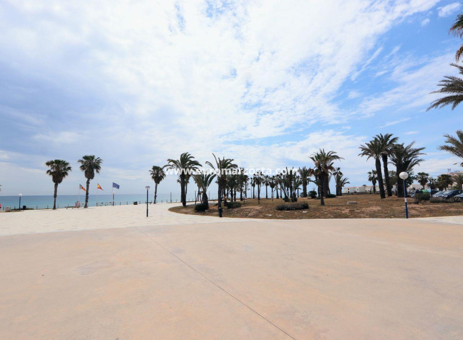 Sale - Apartment / flat - Torrevieja - Playa Flamenca