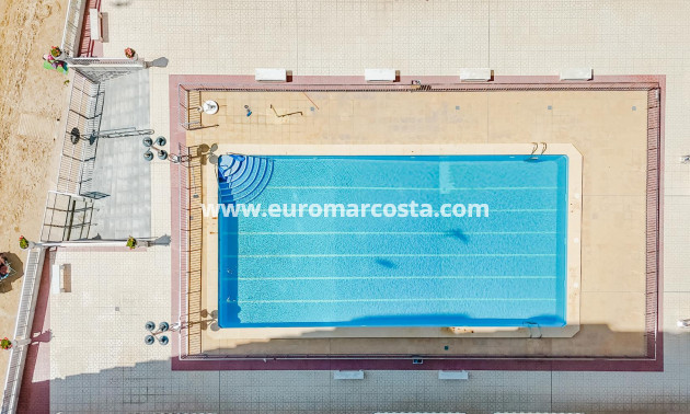 Objekte zum Wiederverkauf - Penthouse - Torrevieja - TORREVIEJA