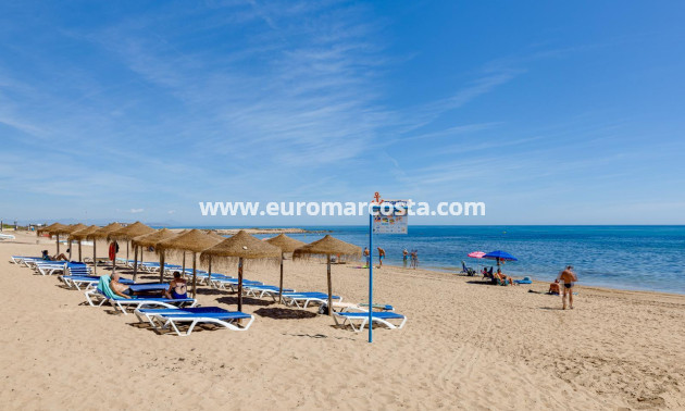 Venta - Apartamento / piso - Torrevieja - PLAYA DE LA MATA