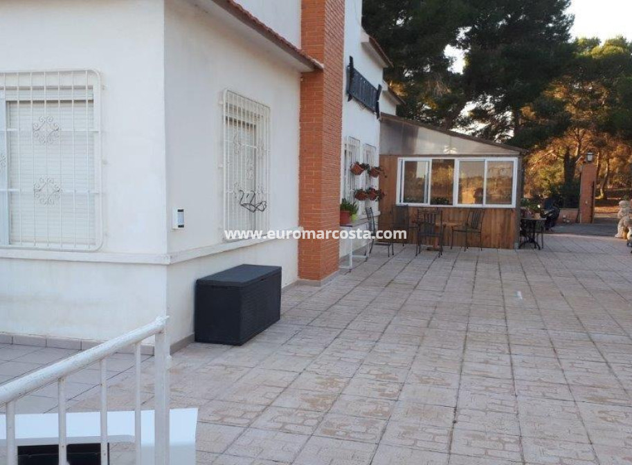 Venta - Casa de campo - Torrevieja - TORREVIEJA