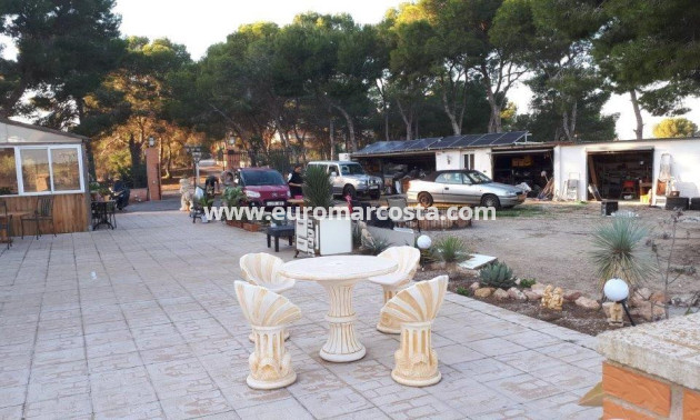 Venta - Casa de campo - Torrevieja - TORREVIEJA