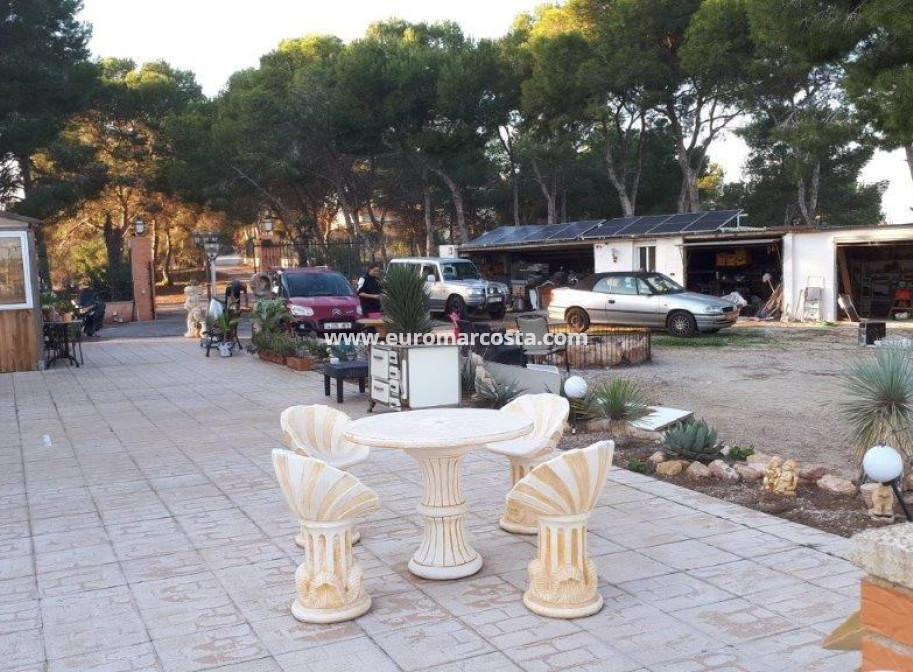 Venta - Casa de campo - Torrevieja - TORREVIEJA