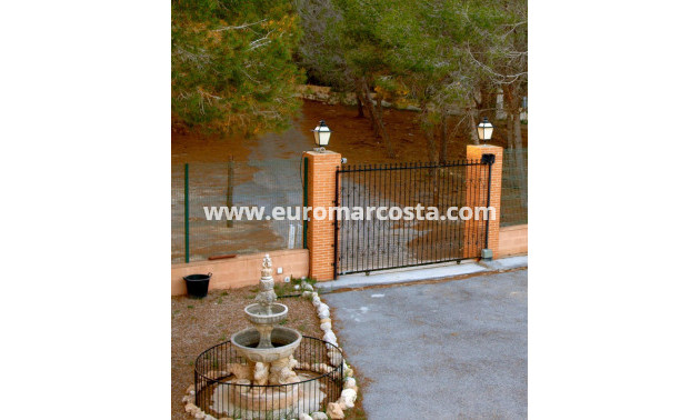 Venta - Casa de campo - Torrevieja - TORREVIEJA
