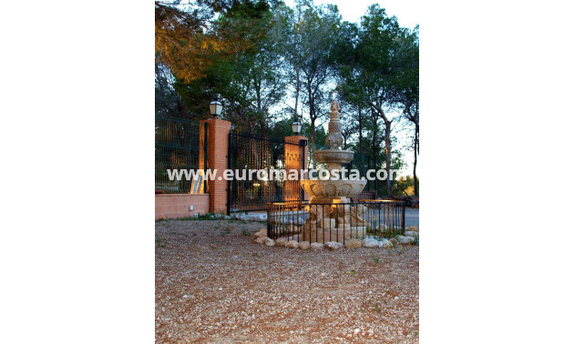 Venta - Casa de campo - Torrevieja - TORREVIEJA
