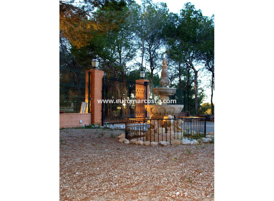 Venta - Casa de campo - Torrevieja - TORREVIEJA