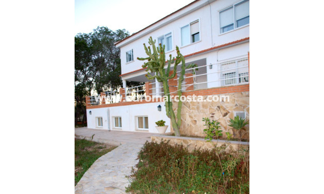 Venta - Casa de campo - Torrevieja - TORREVIEJA