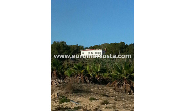Venta - Casa de campo - Torrevieja - TORREVIEJA