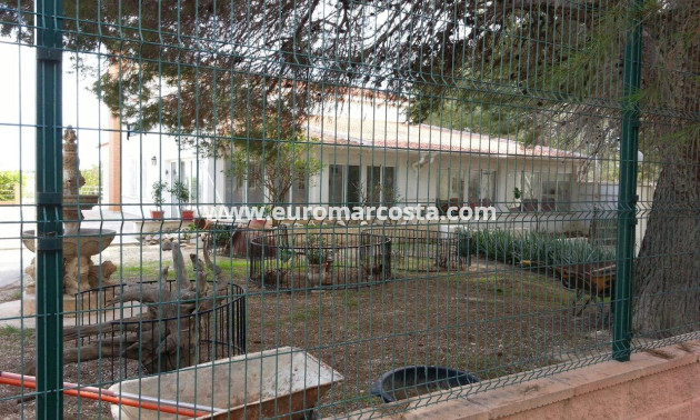 Venta - Casa de campo - Torrevieja - TORREVIEJA