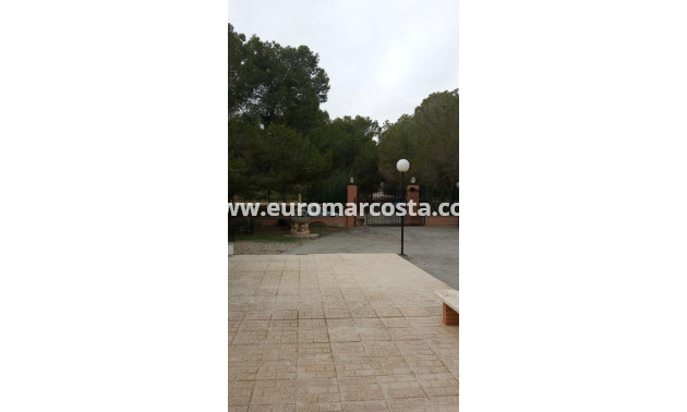 Venta - Casa de campo - Torrevieja - TORREVIEJA