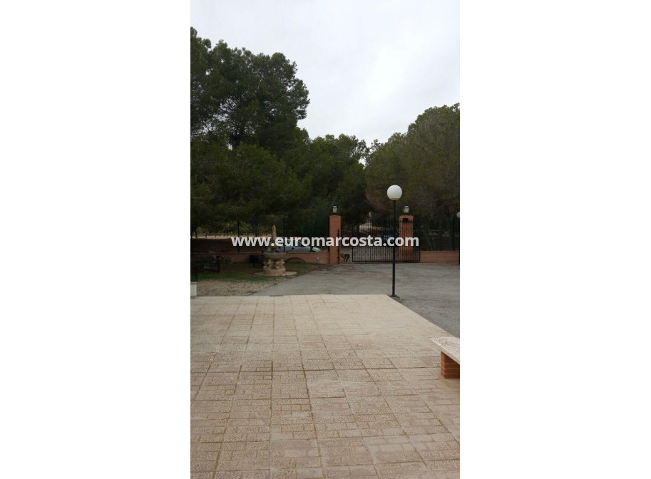 Venta - Casa de campo - Torrevieja - TORREVIEJA