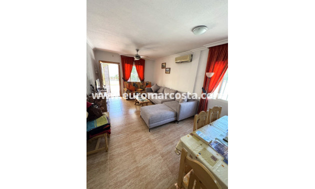 Venta - Villa - Guardamar del Segura