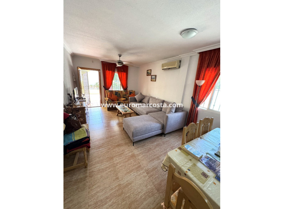 Venta - Villa - Guardamar del Segura