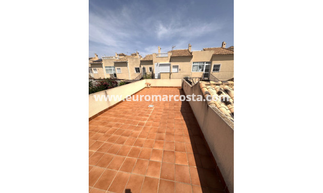 Venta - Villa - Guardamar del Segura