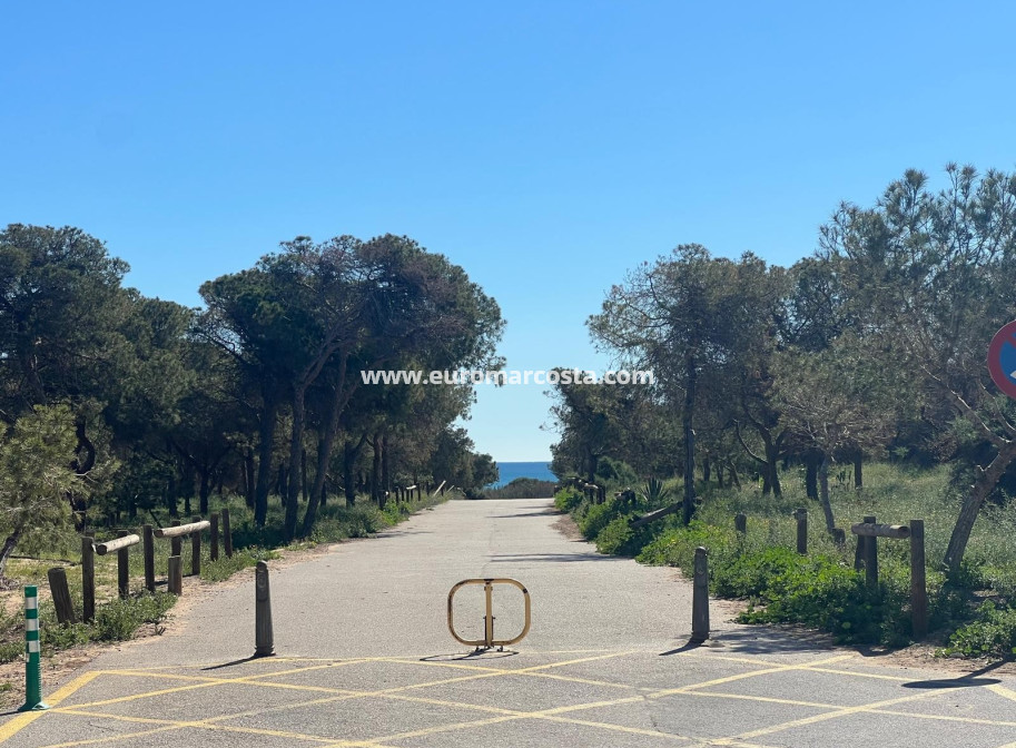 Venta - Villa - Guardamar del Segura