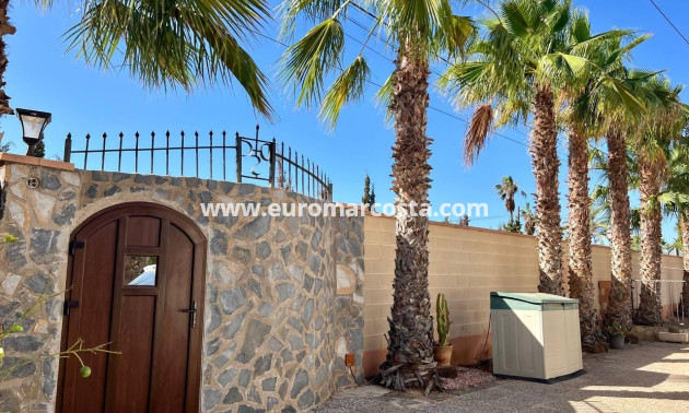 Objekte zum Wiederverkauf - Villa freitstehend - Torrevieja - TORREVIEJA