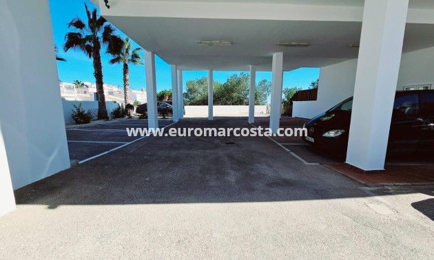 Sale - Apartment / flat - Torrevieja - TORREVIEJA