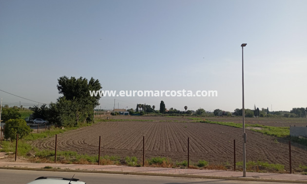 Sale - Townhouse - Daya Vieja