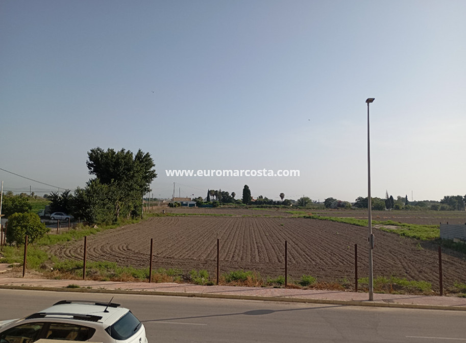 Sale - Townhouse - Daya Vieja