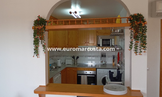 Sale - Townhouse - Daya Vieja