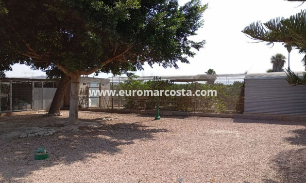 Venta - Casa de campo - Rojales