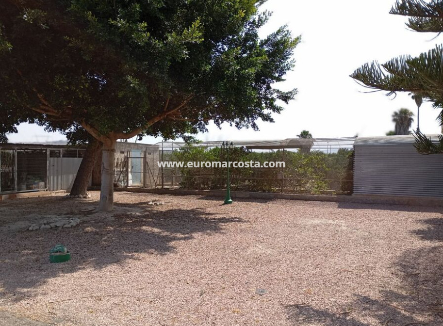 Venta - Casa de campo - Rojales
