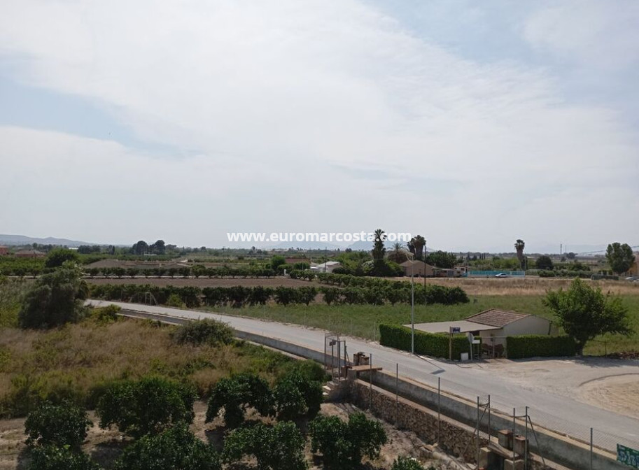Venta - Casa de campo - Rojales