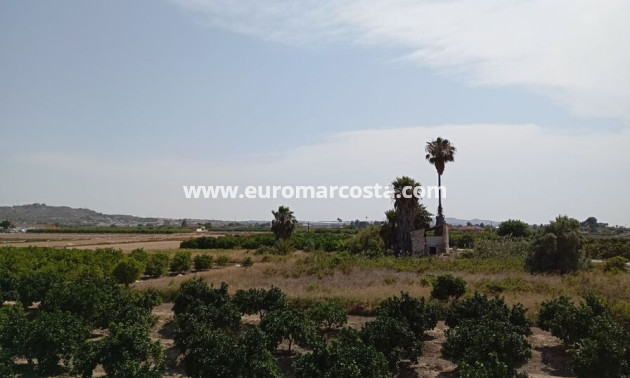 Venta - Casa de campo - Rojales