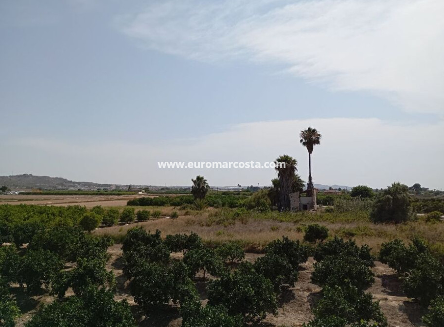 Venta - Casa de campo - Rojales