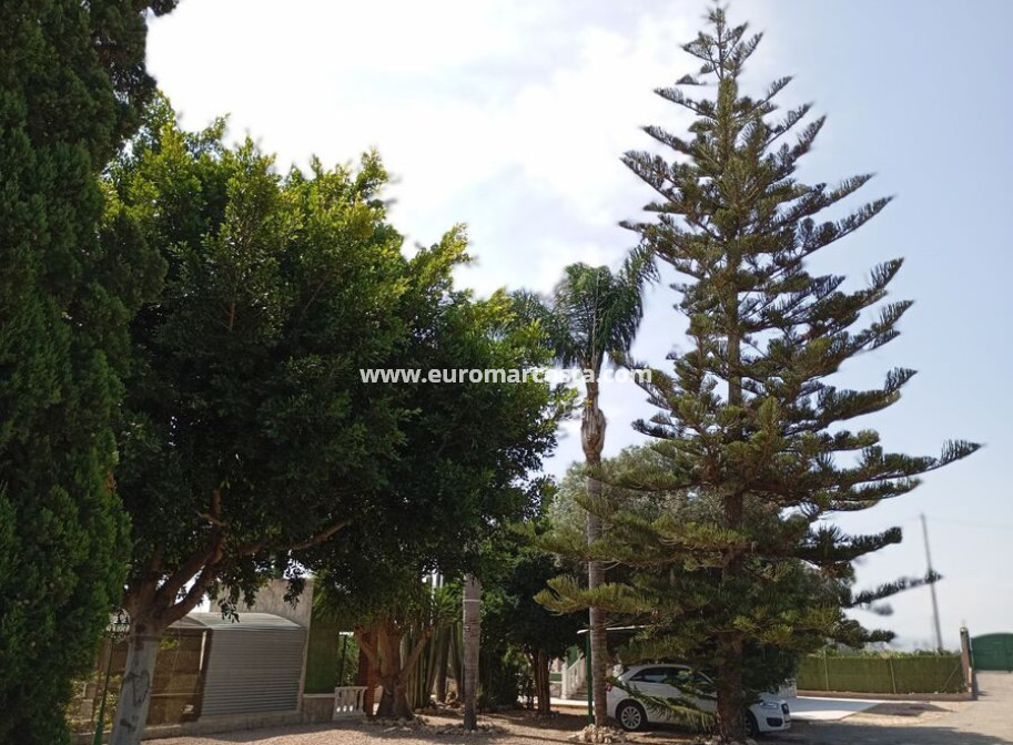 Venta - Casa de campo - Rojales