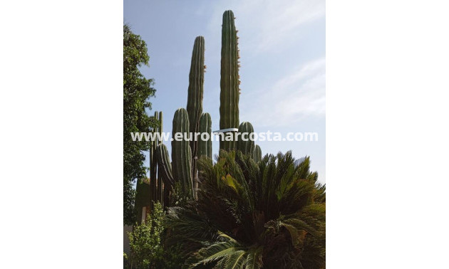 Venta - Casa de campo - Rojales