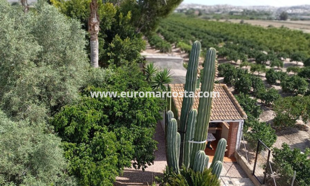 Venta - Casa de campo - Rojales