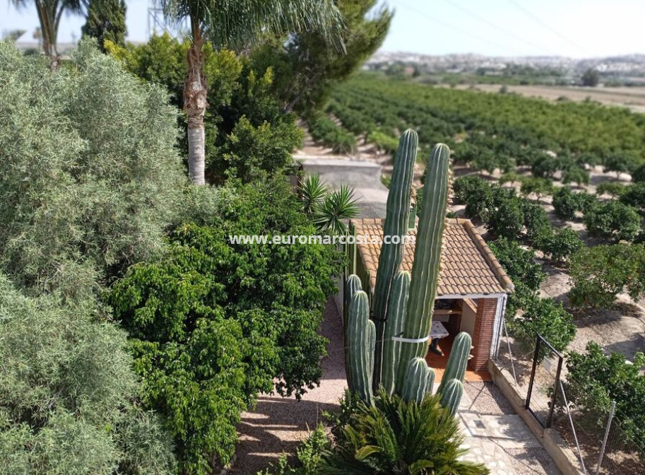 Venta - Casa de campo - Rojales