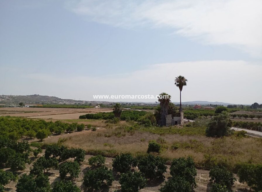 Venta - Casa de campo - Rojales