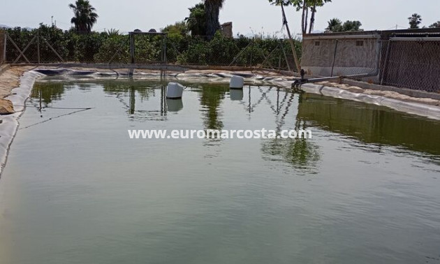 Venta - Casa de campo - Rojales