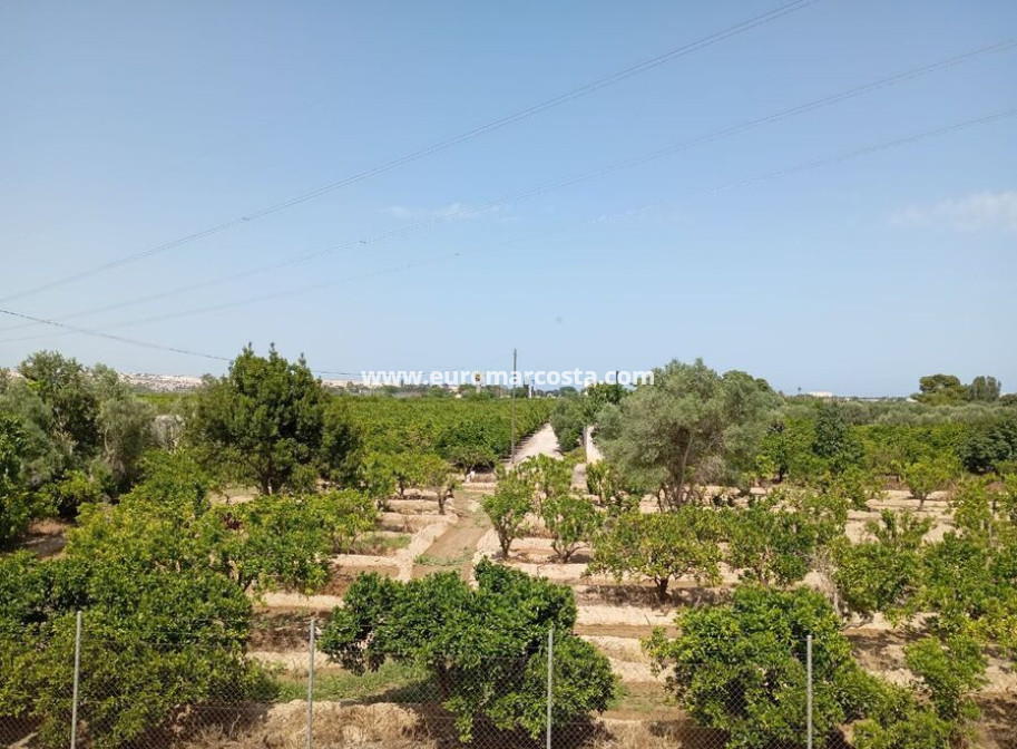 Venta - Casa de campo - Rojales