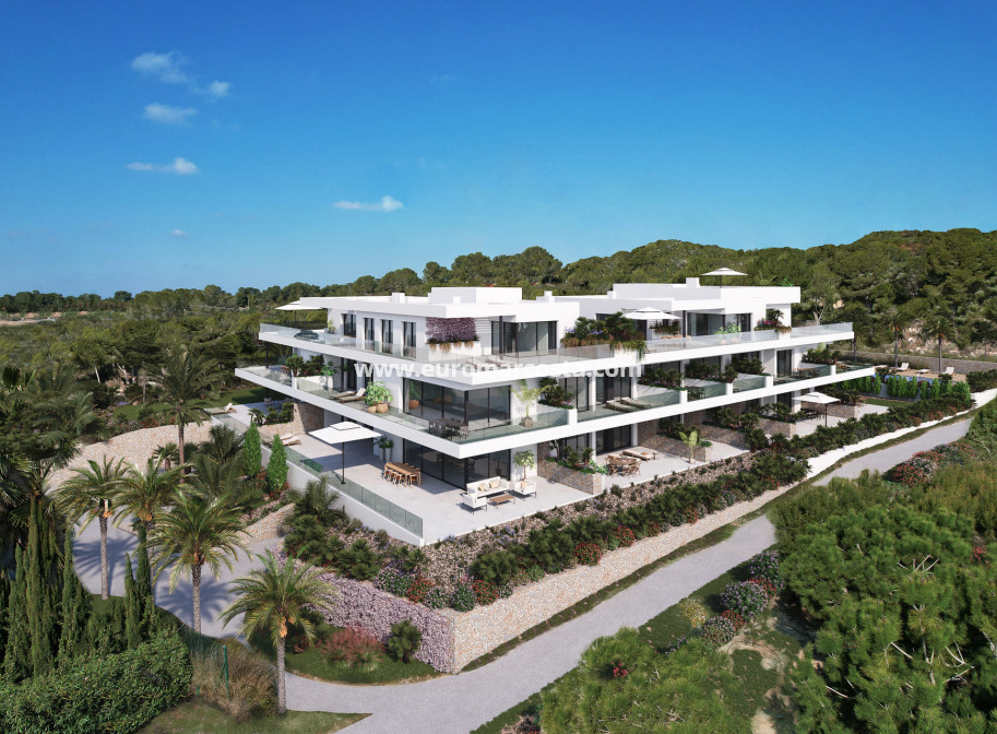Nueva construcción  - Ático - Orihuela Costa