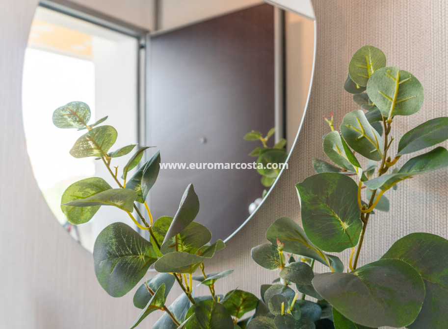 New Build - ground-floor - Playa Flamenca
