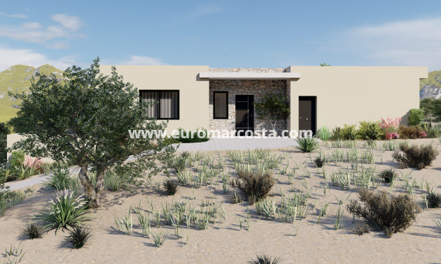 Nueva construcción  - detached - Yecla