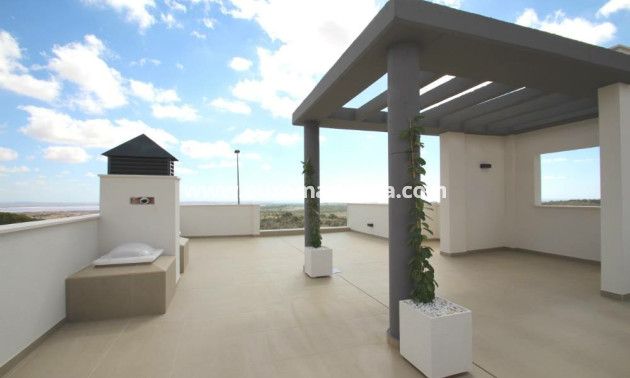 Nueva construcción  - Villa - San Miguel de Salinas