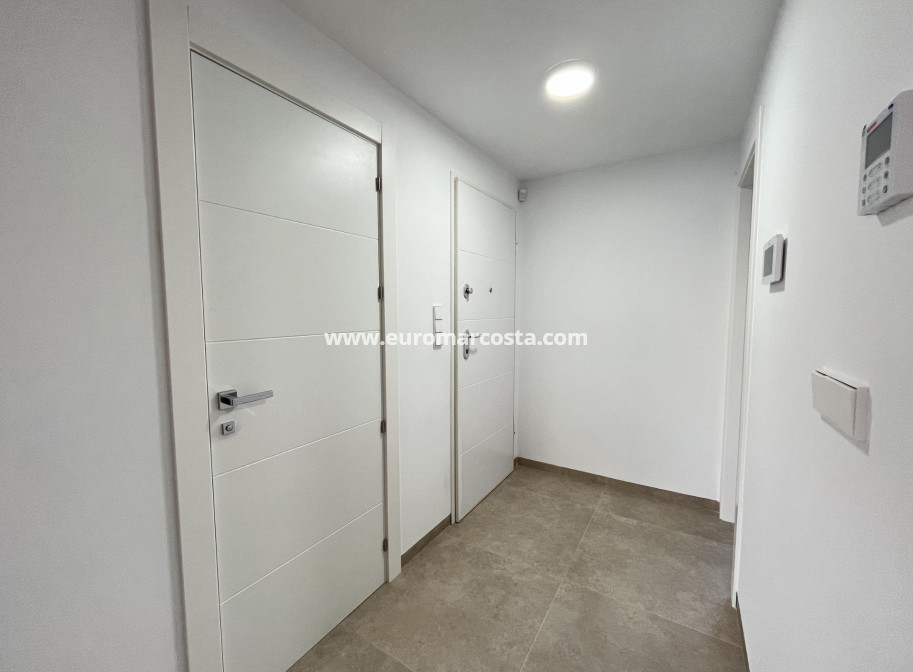 Nueva construcción  - detached - San Pedro del Pinatar - San Pedro de Pinatar