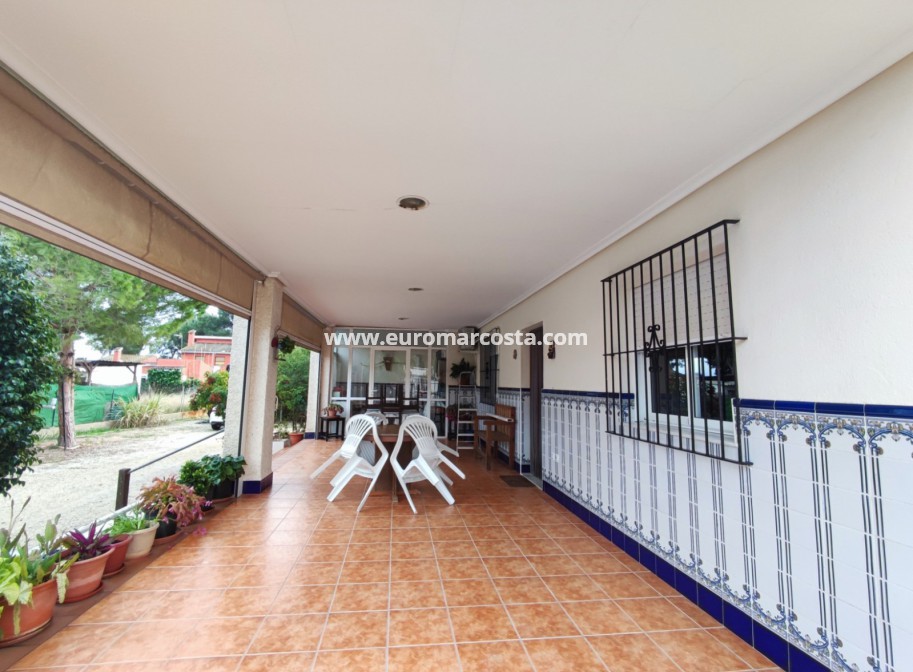Venta - Casa de campo - Elche Pedanías - Elche/Elx