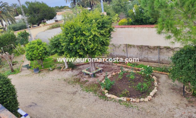 Venta - Casa de campo - Elche Pedanías - Elche/Elx