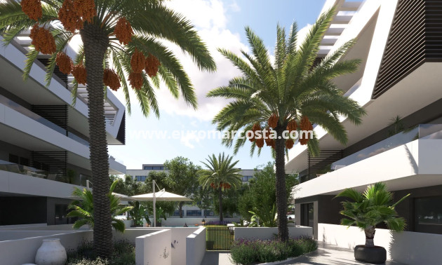Nueva construcción  - ground-floor - Sant Joan d'Alacant