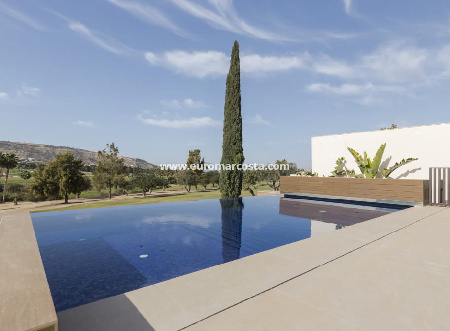 Nueva construcción  - Villa - Algorfa