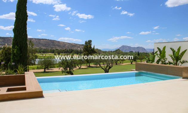 Nueva construcción  - Villa - Algorfa