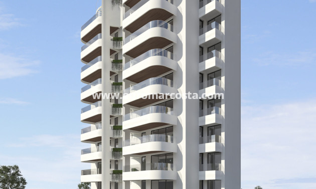Nueva construcción  - ground-floor - Guardamar del Segura